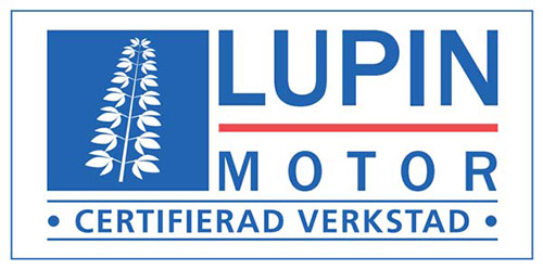 Lupin